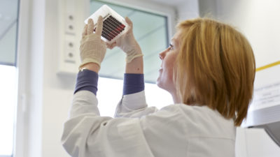 Prüfung von Blutproben im DKMS Life Science Lab