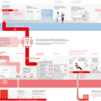 Infografik Der Weg zur Stammzelltransplantation