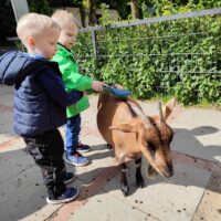 Tag der Geschwister: Zwillinge haben Zwilling gefunden
